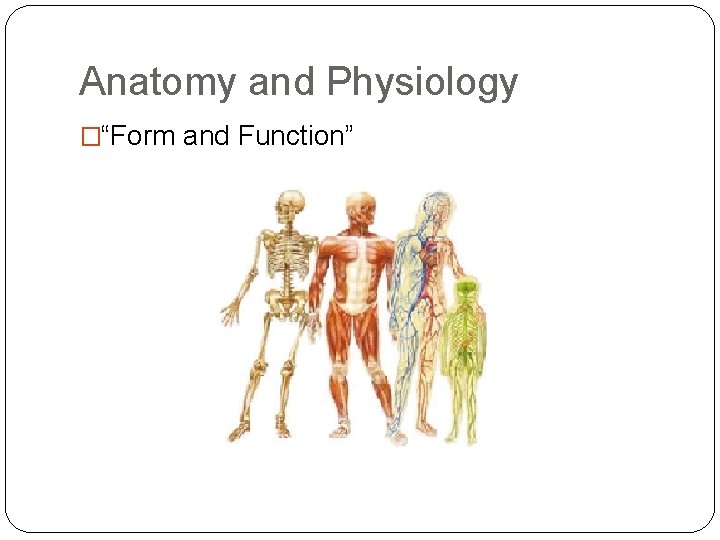 Anatomy and Physiology �“Form and Function” 