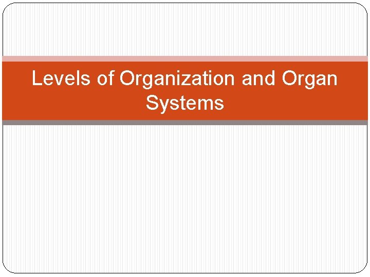 Levels of Organization and Organ Systems 