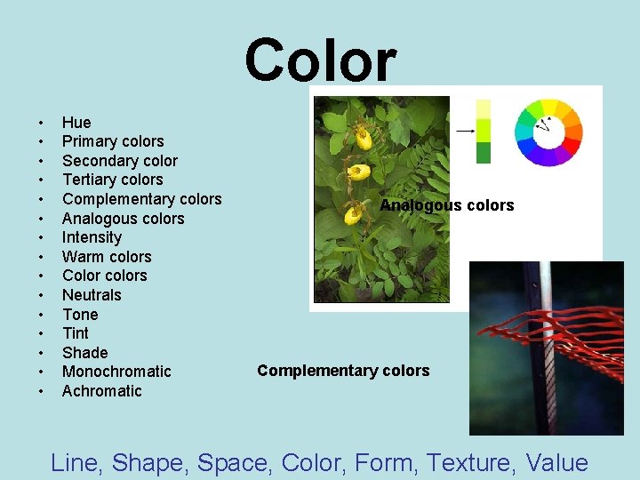 Color • • • • Hue Primary colors Secondary color Tertiary colors Complementary colors