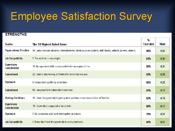 Employee Satisfaction Survey 