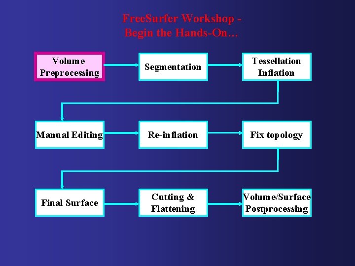 Free. Surfer Workshop Begin the Hands-On… Volume Preprocessing Segmentation Tessellation Inflation Manual Editing Re-inflation