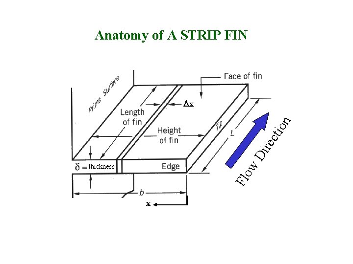 Anatomy of A STRIP FIN Di rec tio n Dx Flo w thickness x