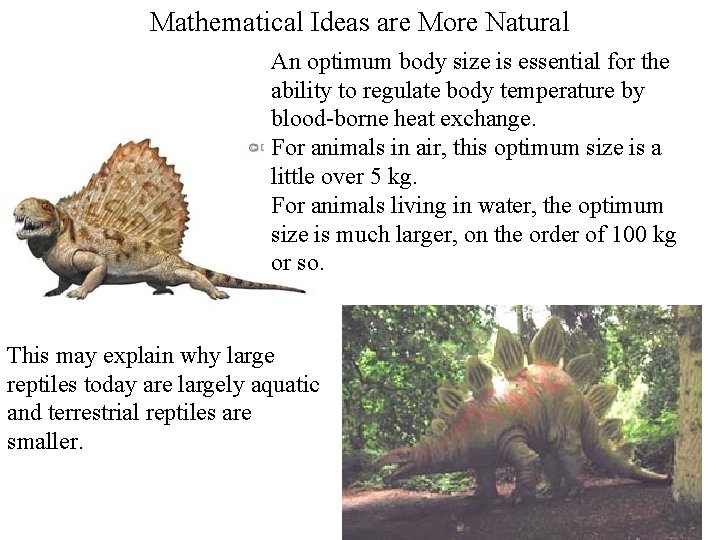 Mathematical Ideas are More Natural An optimum body size is essential for the ability