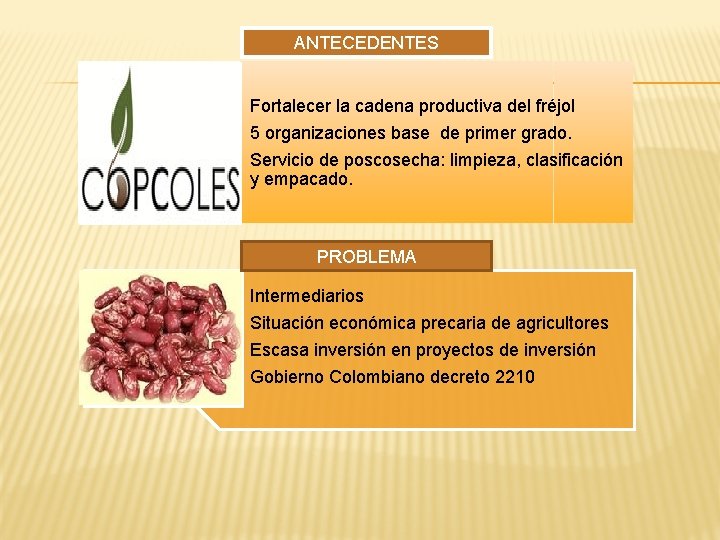 ANTECEDENTES Fortalecer la cadena productiva del fréjol 5 organizaciones base de primer grado. Servicio