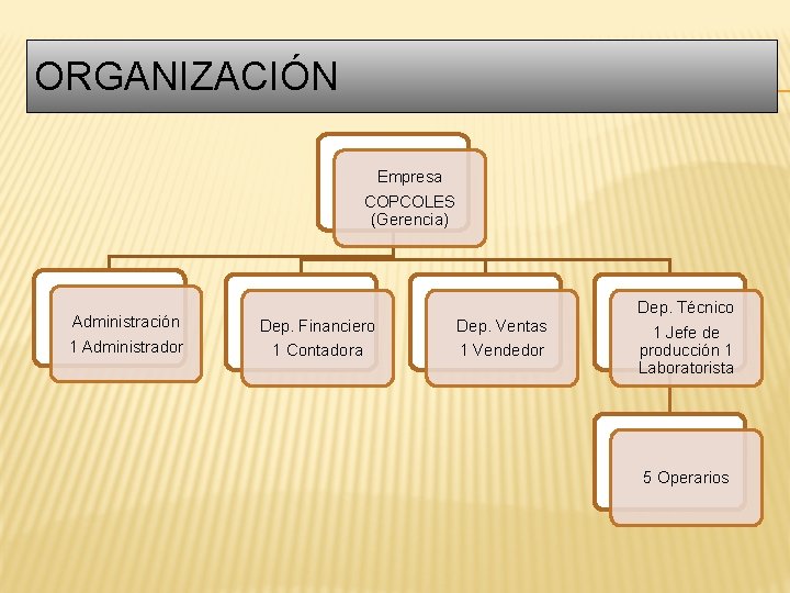 ORGANIZACIÓN Empresa COPCOLES (Gerencia) Administración 1 Administrador Dep. Financiero 1 Contadora Dep. Ventas 1