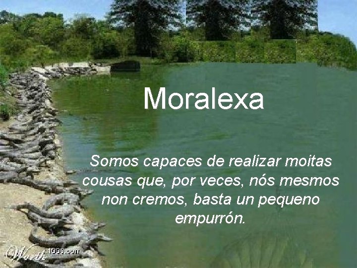 Moralexa Somos capaces de realizar moitas cousas que, por veces, nós mesmos non cremos,