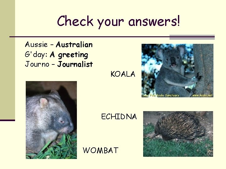 Check your answers! Aussie – Australian G'day: A greeting Journo – Journalist KOALA ECHIDNA