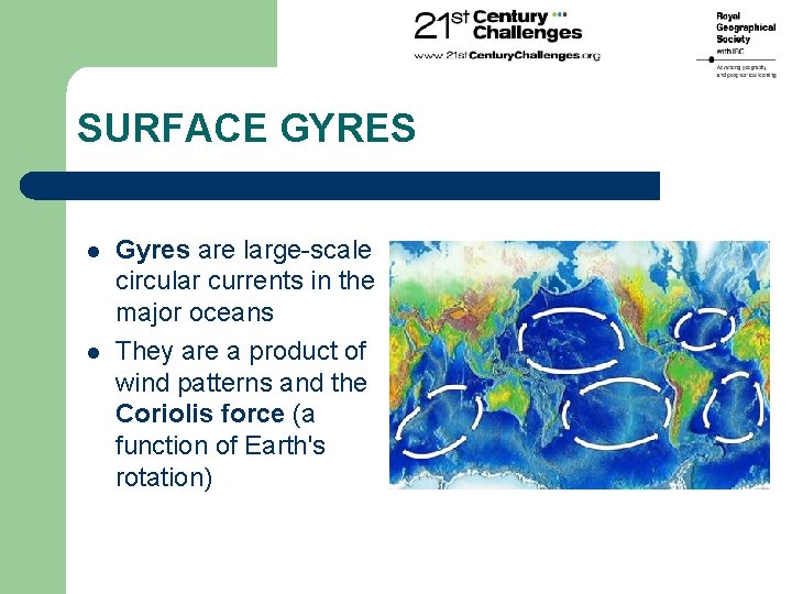 SURFACE GYRES l l Gyres are large-scale circular currents in the major oceans They
