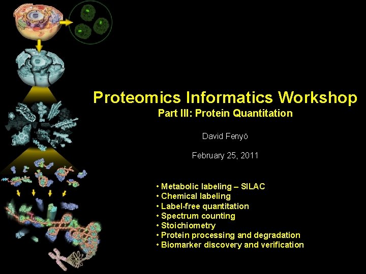 Proteomics Informatics Workshop Part III: Protein Quantitation David Fenyö February 25, 2011 • Metabolic