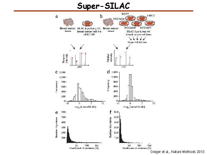 Super-SILAC Geiger et al. , Nature Methods 2010 
