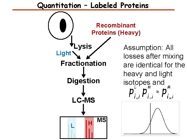 Quantitation – Labeled Proteins Recombinant Proteins (Heavy) Light Lysis Fractionation Digestion LC-MS L H