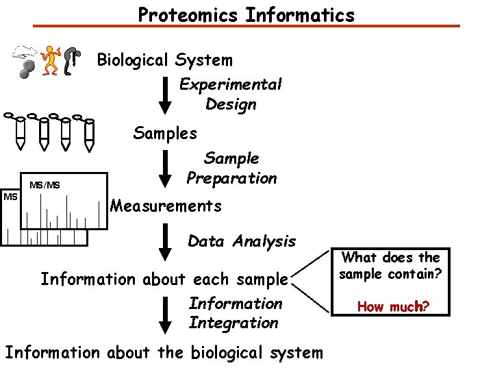 Proteomics Informatics Biological System Experimental Design Samples MS/MS MS Sample Preparation Measurements Data Analysis