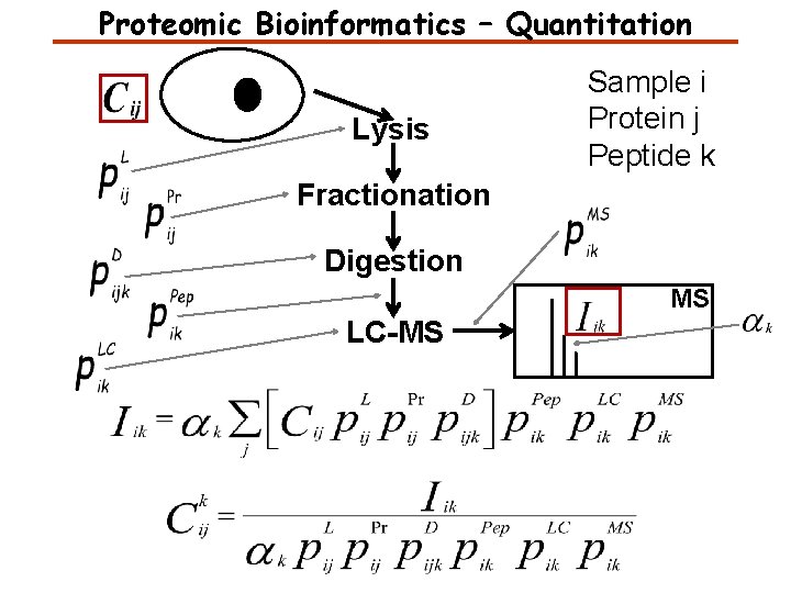 Proteomic Bioinformatics – Quantitation Lysis Sample i Protein j Peptide k Fractionation Digestion MS