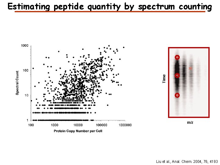 Time Estimating peptide quantity by spectrum counting m/z Liu et al. , Anal. Chem.