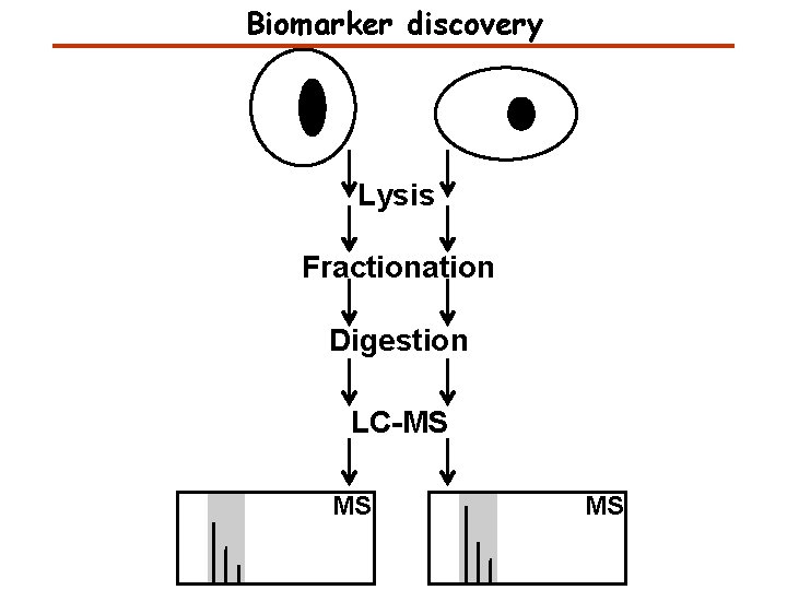 Biomarker discovery Lysis Fractionation Digestion LC-MS MS MS 