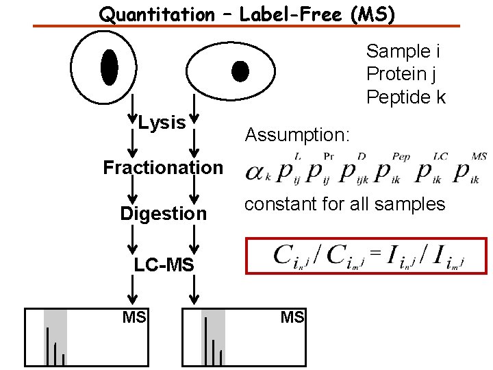 Quantitation – Label-Free (MS) Sample i Protein j Peptide k Lysis Assumption: Fractionation Digestion