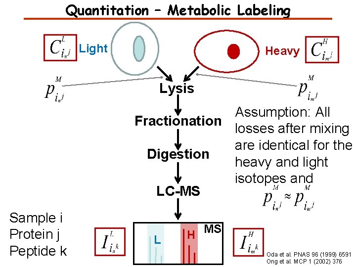 Quantitation – Metabolic Labeling Light Heavy Lysis Assumption: All Fractionation losses after mixing are