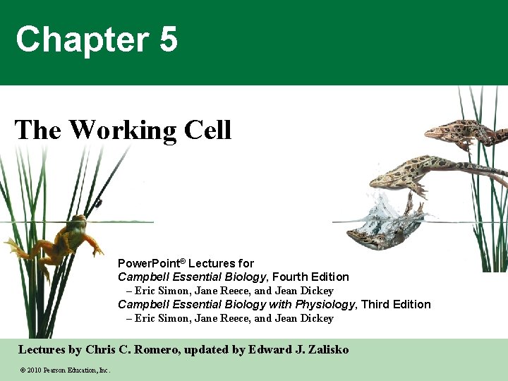 Chapter 5 The Working Cell Power. Point® Lectures for Campbell Essential Biology, Fourth Edition