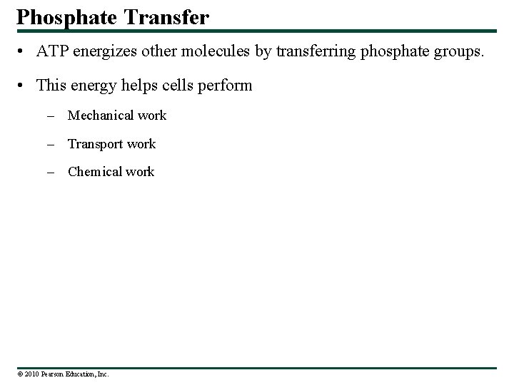 Phosphate Transfer • ATP energizes other molecules by transferring phosphate groups. • This energy