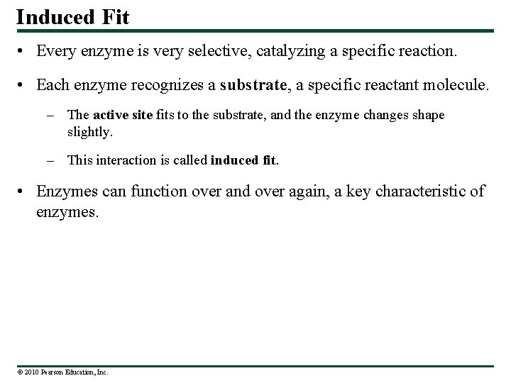 Induced Fit • Every enzyme is very selective, catalyzing a specific reaction. • Each