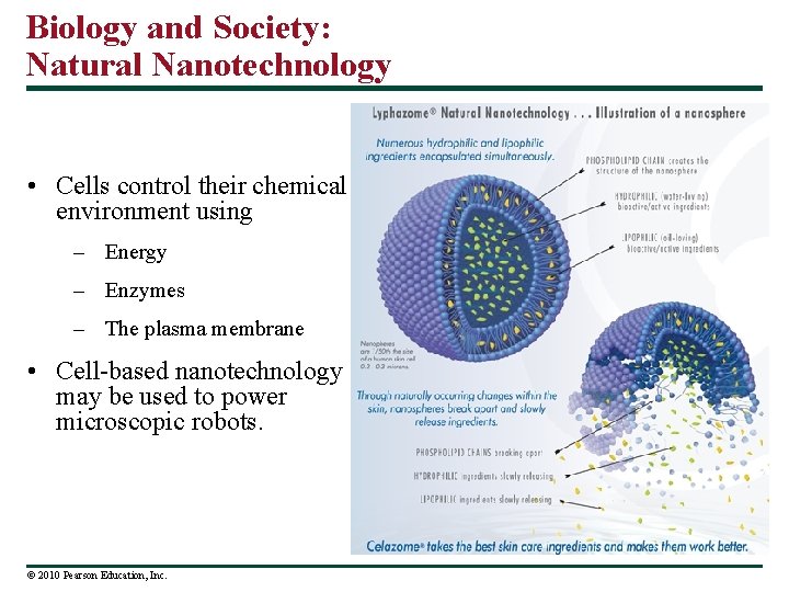 Biology and Society: Natural Nanotechnology • Cells control their chemical environment using – Energy