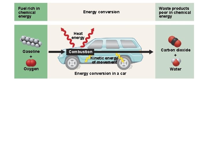 Fuel rich in chemical energy Energy conversion Waste products poor in chemical energy Heat