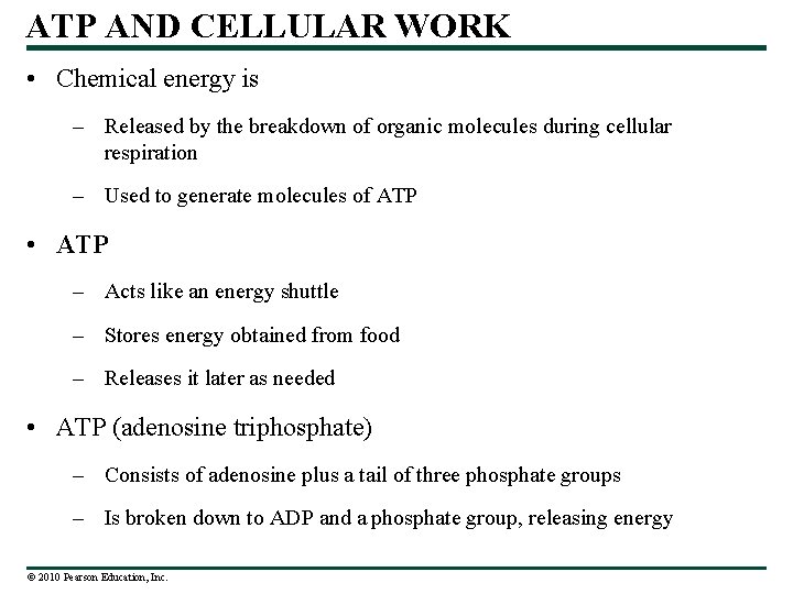 ATP AND CELLULAR WORK • Chemical energy is – Released by the breakdown of