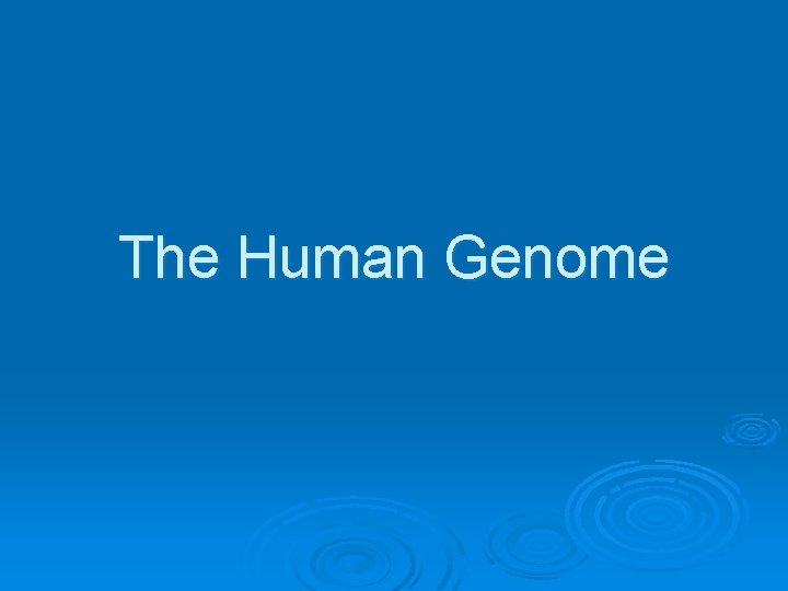 The Human Genome 