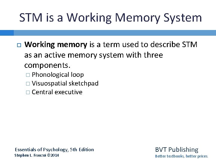 STM is a Working Memory System Working memory is a term used to describe