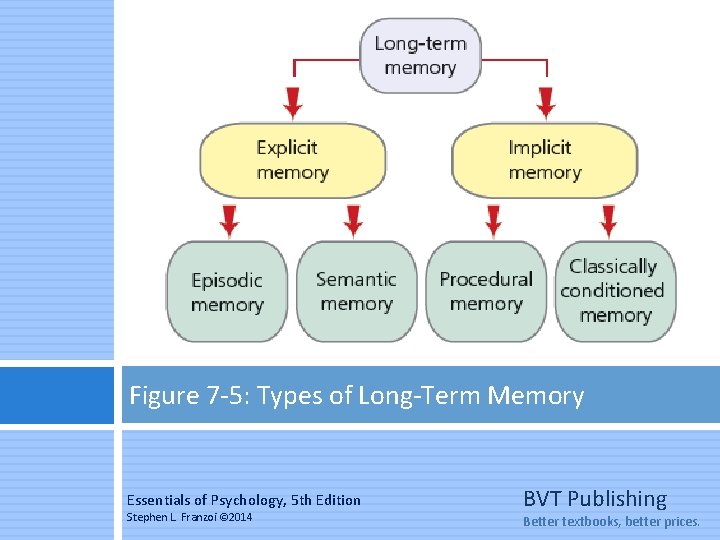 Figure 7 -5: Types of Long-Term Memory Essentials of Psychology, 5 th Edition Stephen