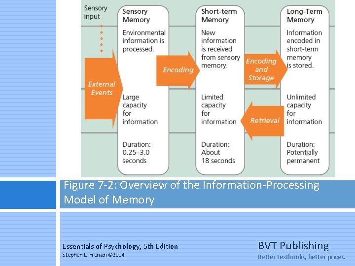 Figure 7 -2: Overview of the Information-Processing Model of Memory Essentials of Psychology, 5