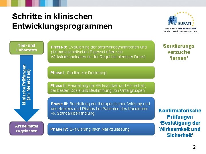 Schritte in klinischen Entwicklungsprogrammen klinische Prüfungen (am Menschen) Tier- und Labortests Arzneimittel zugelassen Phase