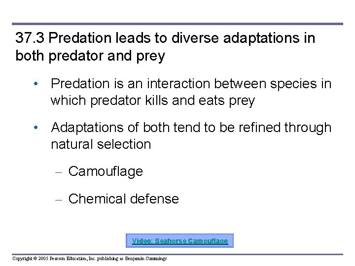 37. 3 Predation leads to diverse adaptations in both predator and prey • Predation