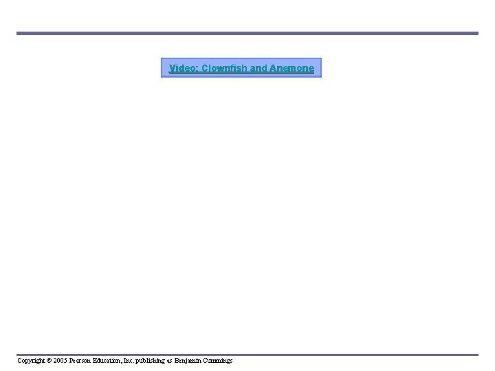 Video: Clownfish and Anemone Copyright © 2005 Pearson Education, Inc. publishing as Benjamin Cummings