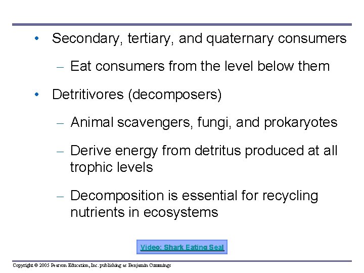  • Secondary, tertiary, and quaternary consumers – Eat consumers from the level below