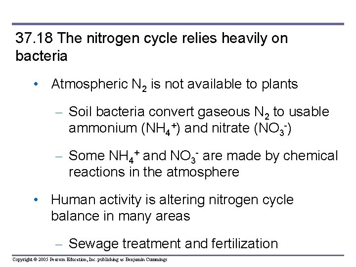 37. 18 The nitrogen cycle relies heavily on bacteria • Atmospheric N 2 is