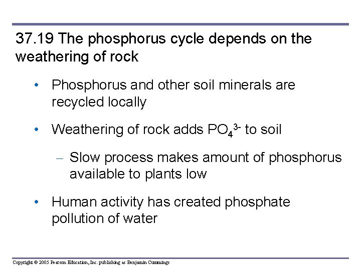 37. 19 The phosphorus cycle depends on the weathering of rock • Phosphorus and