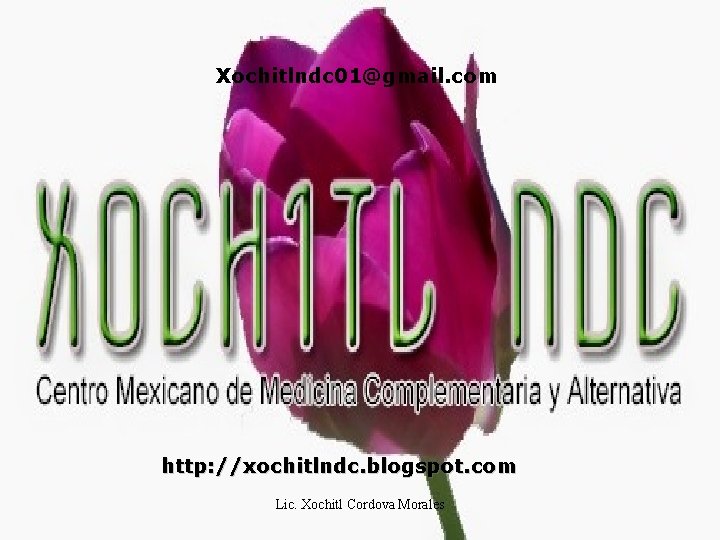 Xochitlndc 01@gmail. com http: //xochitlndc. blogspot. com Lic. Xochitl Cordova Morales 