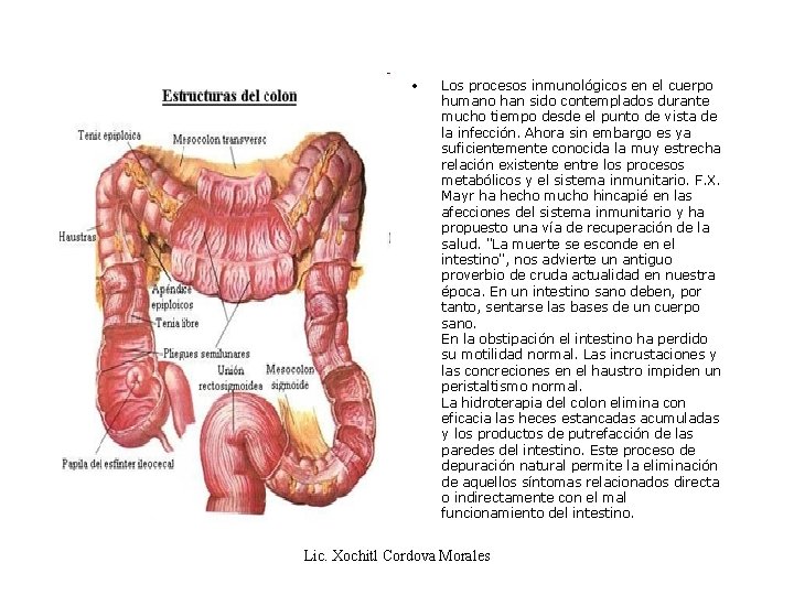  • Los procesos inmunológicos en el cuerpo humano han sido contemplados durante mucho