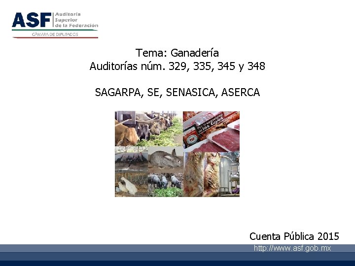 Tema: Ganadería Auditorías núm. 329, 335, 345 y 348 SAGARPA, SENASICA, ASERCA Cuenta Pública