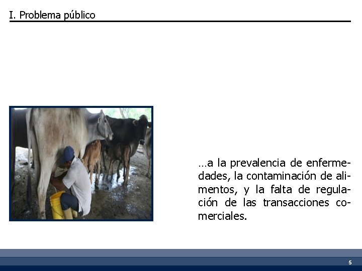 I. Problema público …a la prevalencia de enfermedades, la contaminación de alimentos, y la