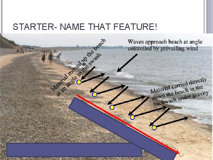 STARTER- NAME THAT FEATURE! 