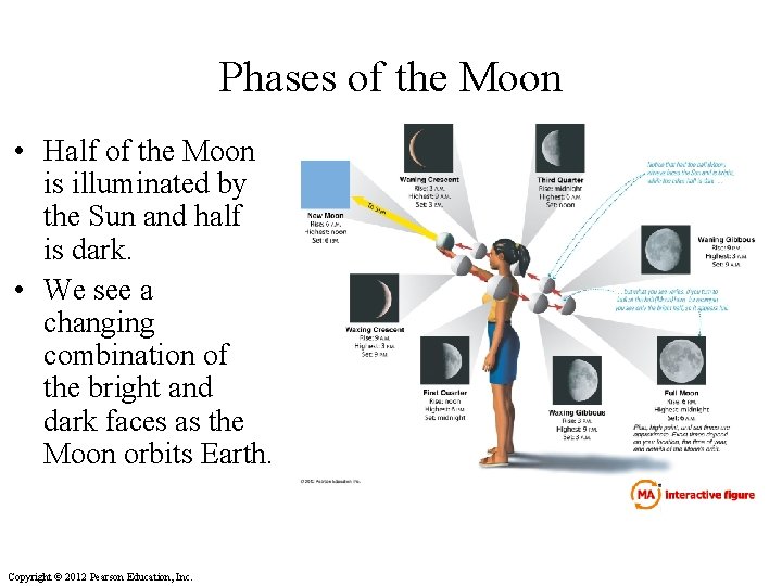 Phases of the Moon • Half of the Moon is illuminated by the Sun