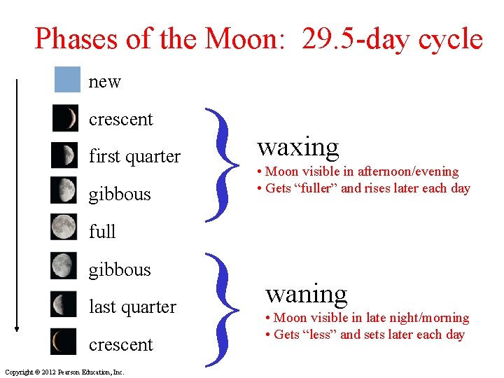 Phases of the Moon: 29. 5 -day cycle new crescent first quarter gibbous full