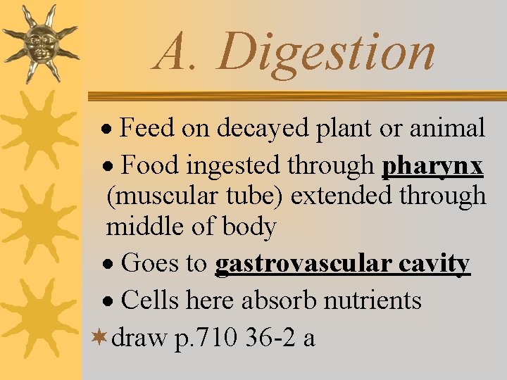 A. Digestion · Feed on decayed plant or animal · Food ingested through pharynx