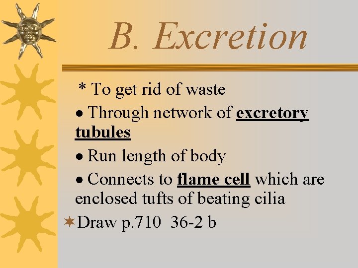 B. Excretion * To get rid of waste · Through network of excretory tubules