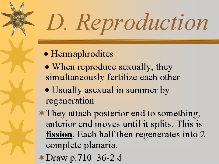 D. Reproduction · Hermaphrodites · When reproduce sexually, they simultaneously fertilize each other ·