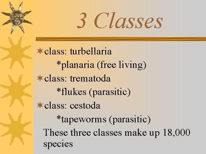 3 Classes ¬class: turbellaria *planaria (free living) ¬class: trematoda *flukes (parasitic) ¬class: cestoda *tapeworms