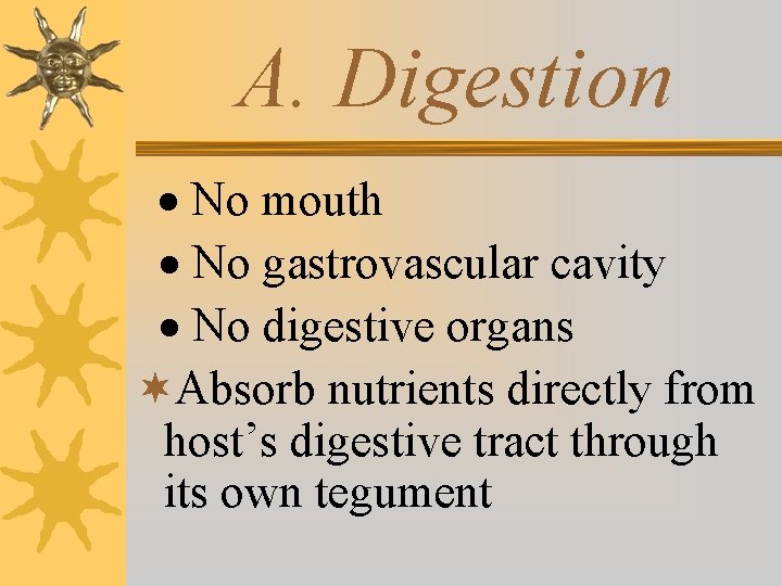 A. Digestion · No mouth · No gastrovascular cavity · No digestive organs ¬Absorb
