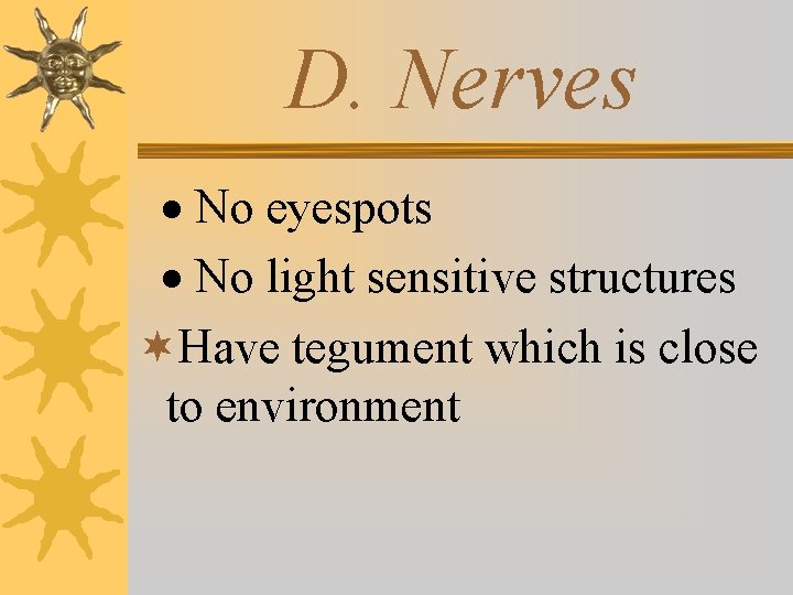 D. Nerves · No eyespots · No light sensitive structures ¬Have tegument which is